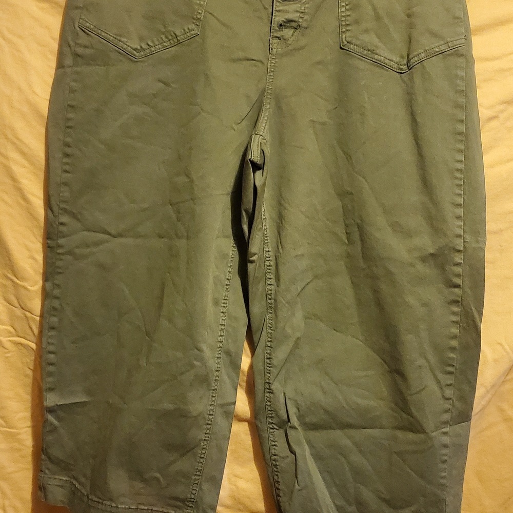 Womens Torrid Olive Green Pants